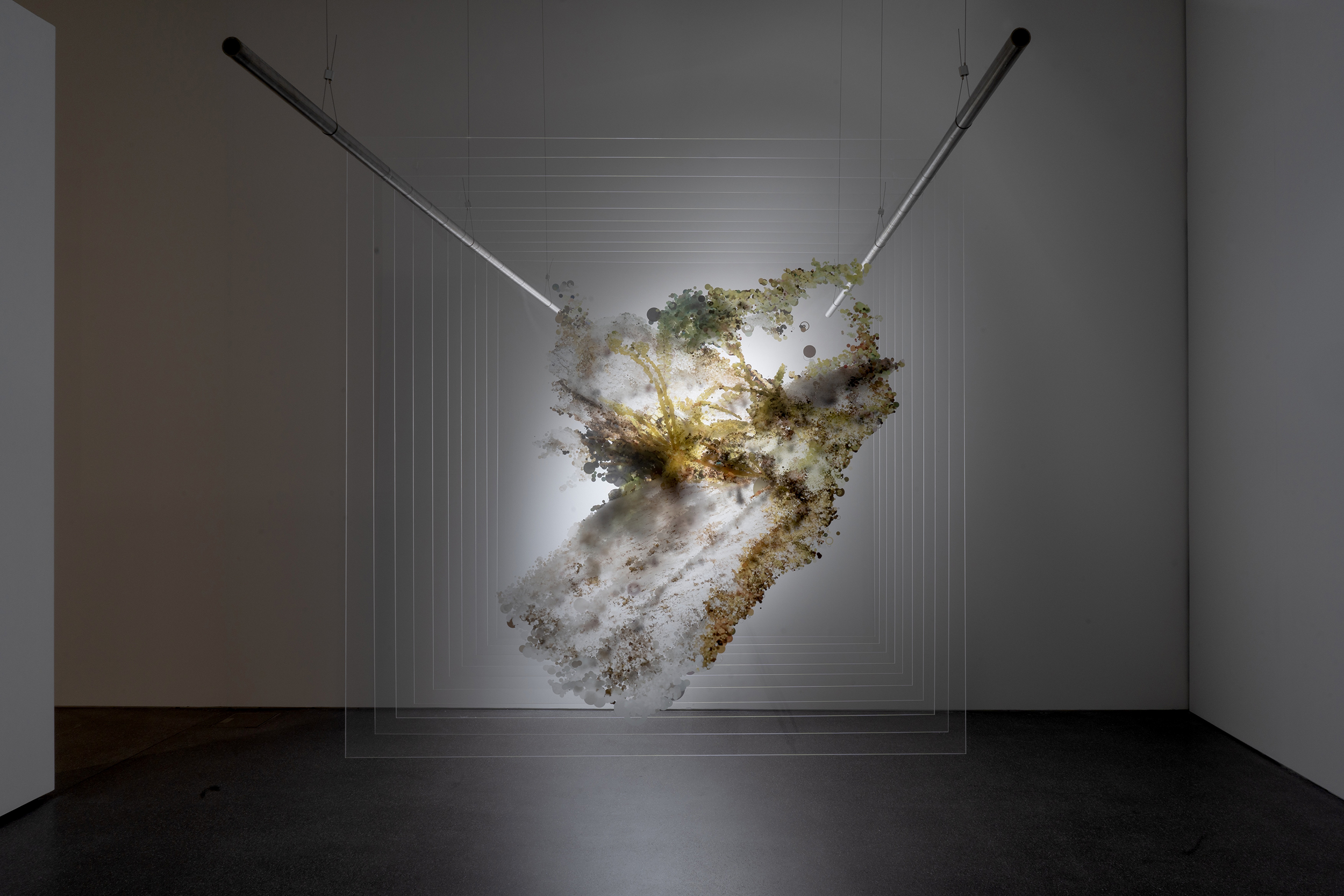 copyright Lisa Collomb 2024 a World between the Lines